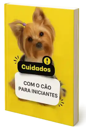 Cuidados com o cão para iniciantes70. Cuidados com o cão para iniciantes70.