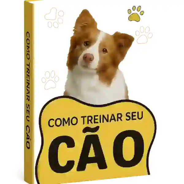 Treinamento básico de cães 2 Treinamento básico de cães 2