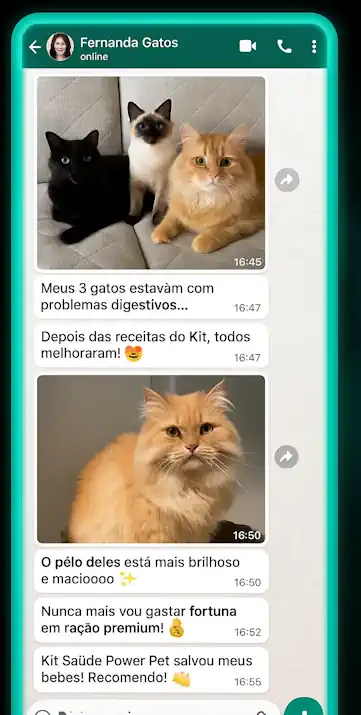 prova_social_pets_3 prova_social_pets_3